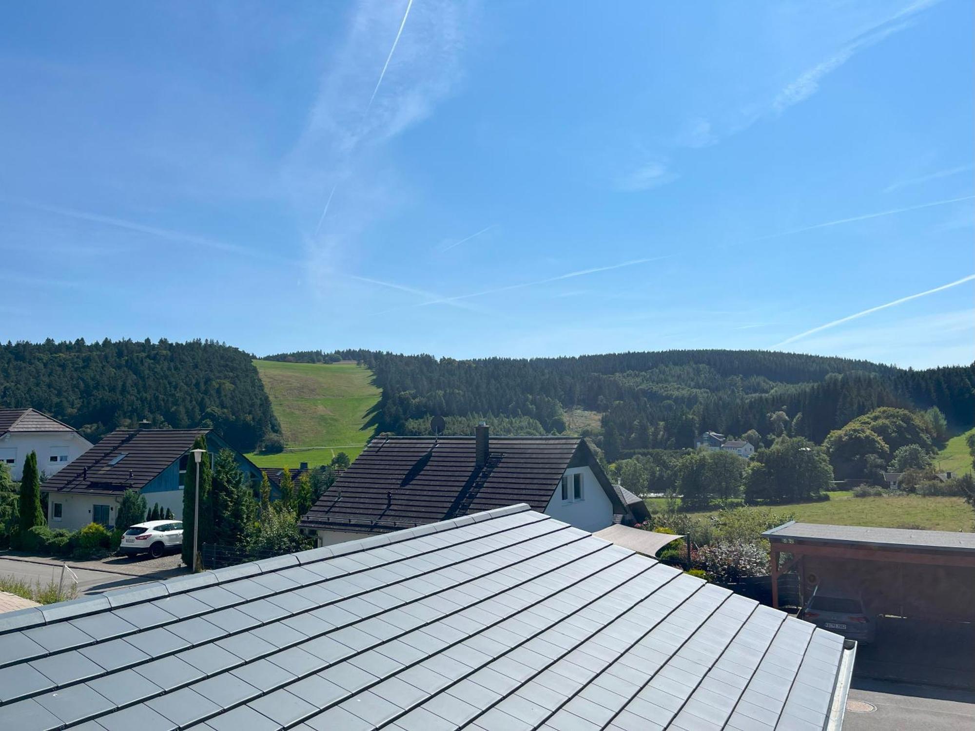 Ferienwohnung Uplandblockhaus Willingen  Ngoại thất bức ảnh